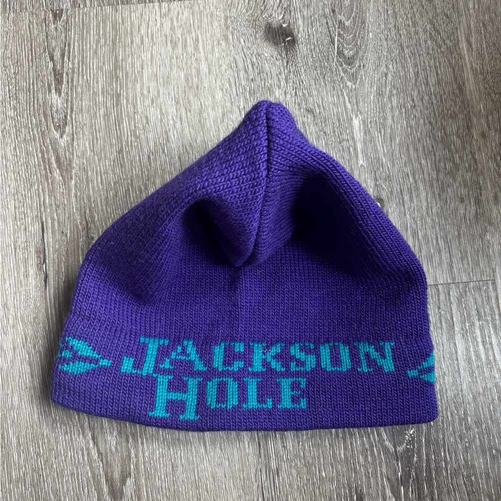 Vintage Jackson Hole Beanie (rare!)